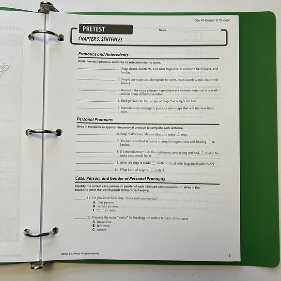 BJU Press Writing Grammar Literature Student Handouts English 8 Homeschool Curri - Picture 9 of 13